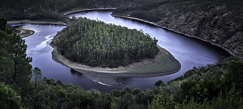 Fotografías ganadoras y finalistas Wiki Loves Earth 2024