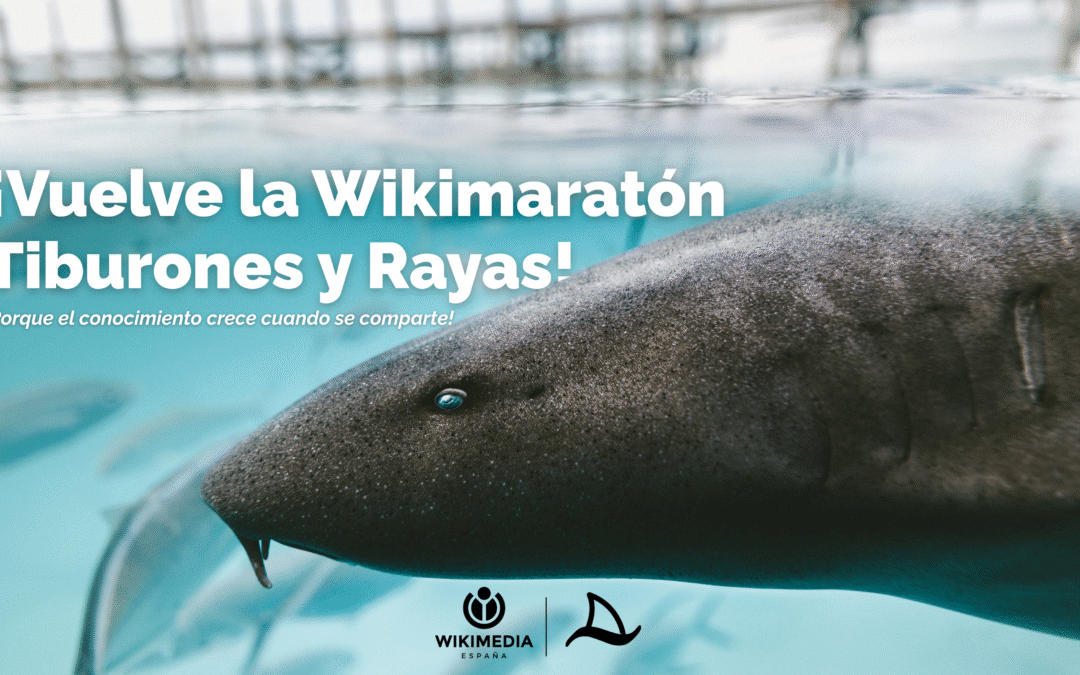 II Wikimaratón Tiburones y Rayas: un océano de conocimiento por descubrir 