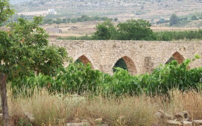 Alpuente, Wikimunicipio del Año 2025: cuando el conocimiento libre llega al territorio