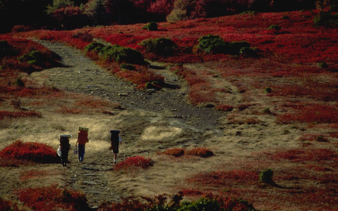 Wikiviajes: la guía de viajes libre que quiere cambiar cómo planificamos nuestros viajes 